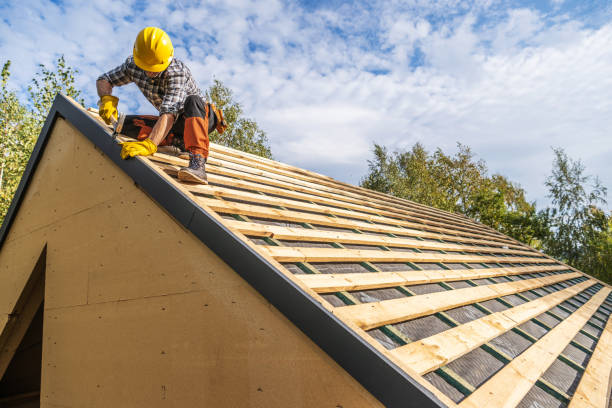 Best Gutter Installation and Roofing  in Elyria, OH